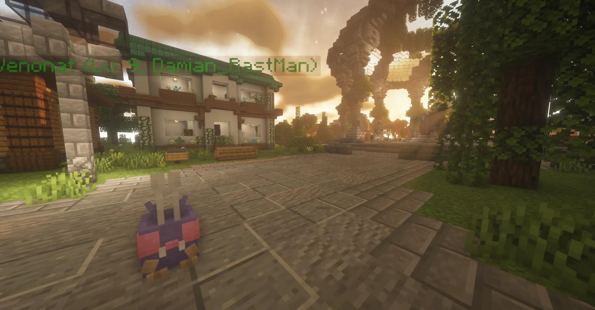 Oswojony Venonat na spawnie serwera PokeSky Oswojony Venonat na spawnie serwera PokeSky